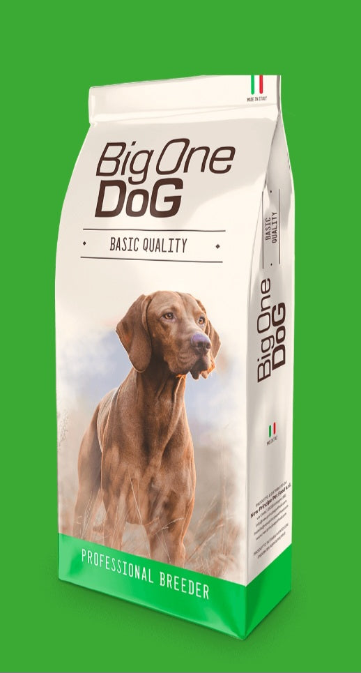 Big One dog basic quality maintenance pollo & riso 20kg