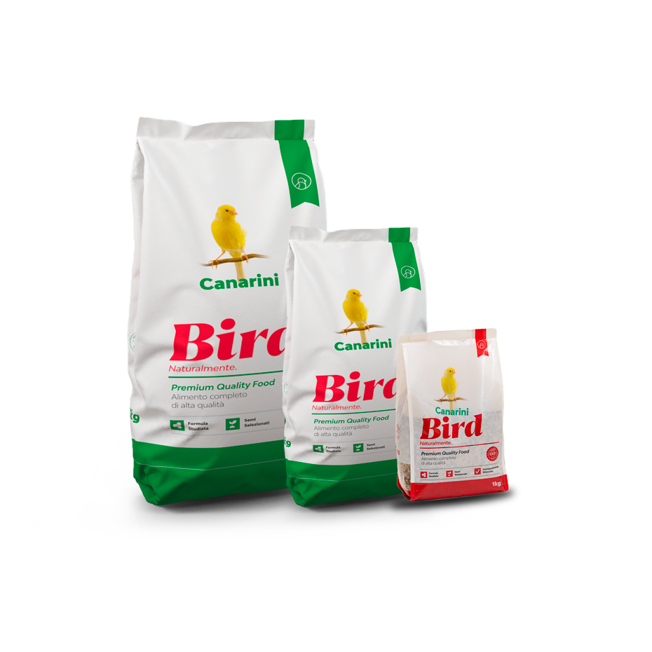 Bird canarini 20kg