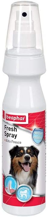 Beaphar colluttorio spray 150ml