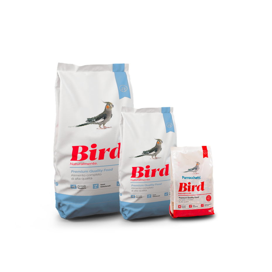 Bird parrocchetti 20kg