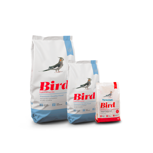 Bird parrocchetti 20kg