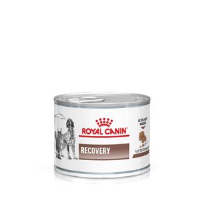 Royal Canin recovery 195g