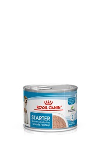 Royal Canin starter mother & babydog, mousse ultra soffice 195g