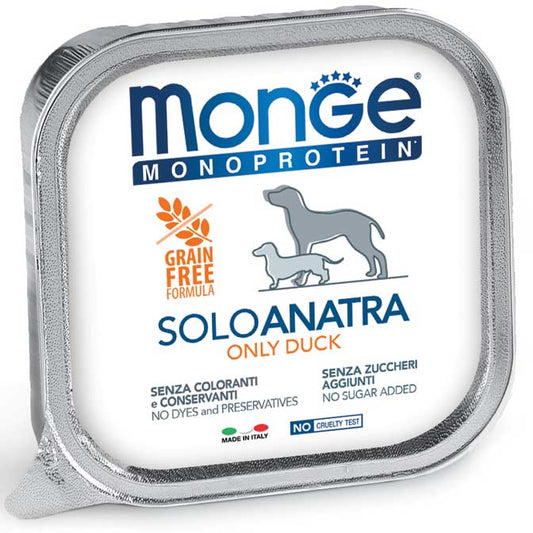 Monge solo anatra